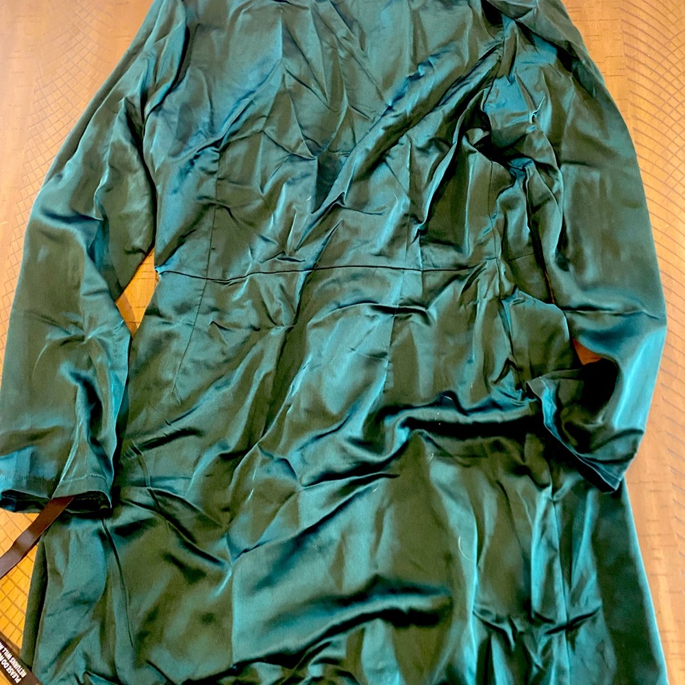 Dress - Picture 3 of 3